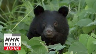 動画サムネイル