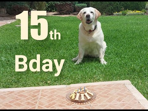 15th birthday