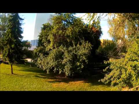 BLACKOUT NEW CC3D PIDS - UCs7PzBwYqQH5zib6Rqnz-Kg