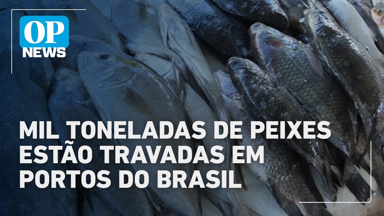 Taxas de Trump paralisam exportação de mil toneladas de pescados brasileiros | O POVO News