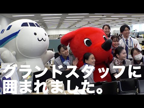【A380】チーバくんがANAオフィスに潜入！💙✈️ 「FLYING HONU」の機内が凄すぎた…！🐢