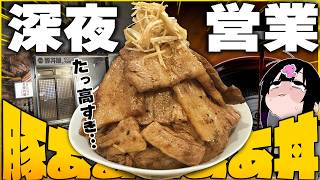 【深夜営業】“高さ〇cmの特盛肉丼”だと！？デカ盛り豚丼が幸福の極みすぎる！