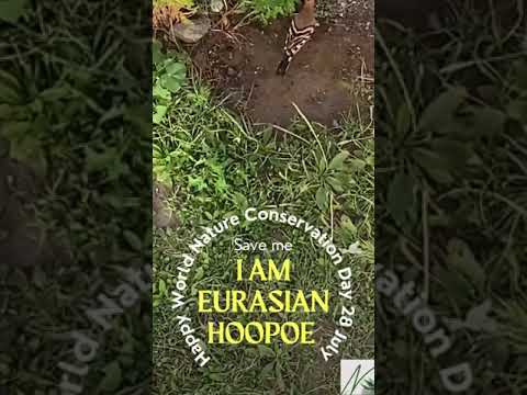 28 July:World Nature Conservation Day #shorts
