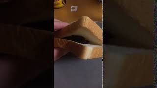 驚異の夕飯動画