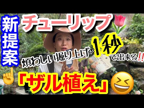 【新提案】チューリップの「ザル植え」って何？！/ 大変な球根の掘り上げが一瞬で出来る植え方🌷/ 5つのメリットを聞けば、ザル植えしたくなる‼️/ お家にある色んなザルが大活躍✨【ガーデニング】