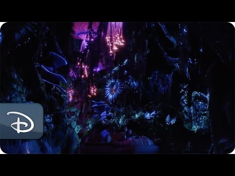 Creating Pandora – The World of Avatar as a Real Place | Disney's Animal Kingdom - UC1xwwLwm6WSMbUn_Tp597hQ