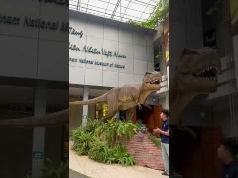Khủng long khổng lồ ở cửa bảo tàng thiên nhiên