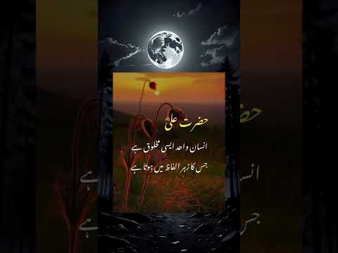 insan wahid a SE makhloq hai #quotes #shortvideo #foryou