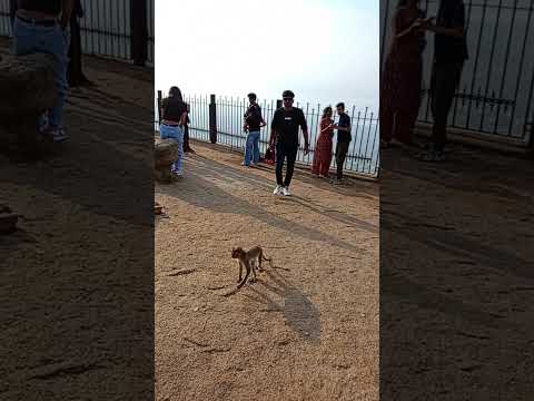 Nandi hills bengaluru sunrise view point ☝️#nandihillssunriseviewpoint #nandihills #bengaluru