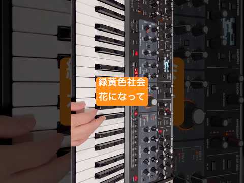 緑黄色社会「花になって」のシンセパートを弾いてみた