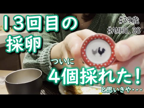 【不妊治療】13回目の採卵、4個ゲット!からの・・・@低AMH/39歳・体外受精13回・流産3回/ガレッドデロアで運試し