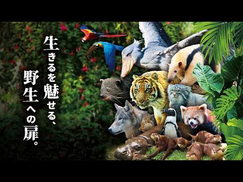 神戸　どうぶつ王国