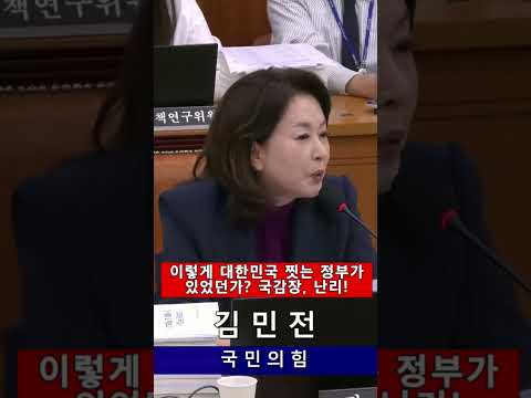 #김민전#<strong>정부</strong>