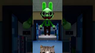 Best classes in Animal Hospital