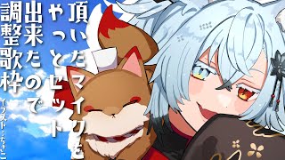 【歌枠】やっと設置できたマイクを調整する配信【Vtuber】