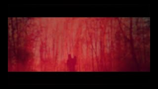 Arman Méliès - L'Enfant Qui Marchait Dans La Couleur / official Video (from RODEN CRATER)