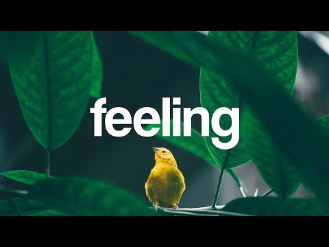 Subspace - Feeling (ft. Adeline Um) [Lyrics video] (Magic Free Release) - UCp6_KuNhT0kcFk-jXw9Tivg