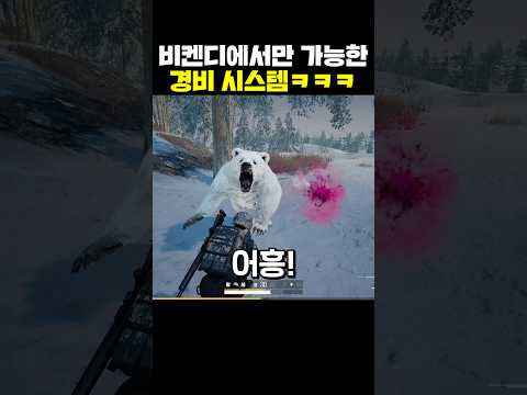 비켄디에서만 가능한 경비 시스템ㅋㅋㅋ
