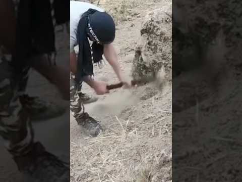 Mistério Revelado!! 😧🤔⚱️