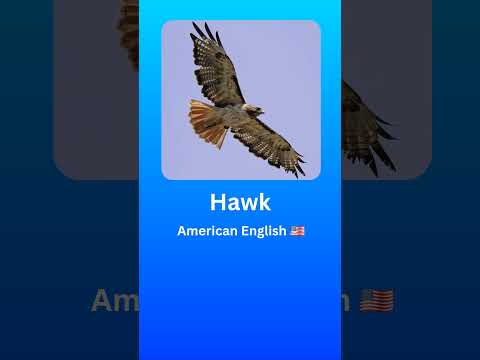 How to Pronounce Hawk (American English 🇺🇲) #2024 #language #pronunciation #english #hawk