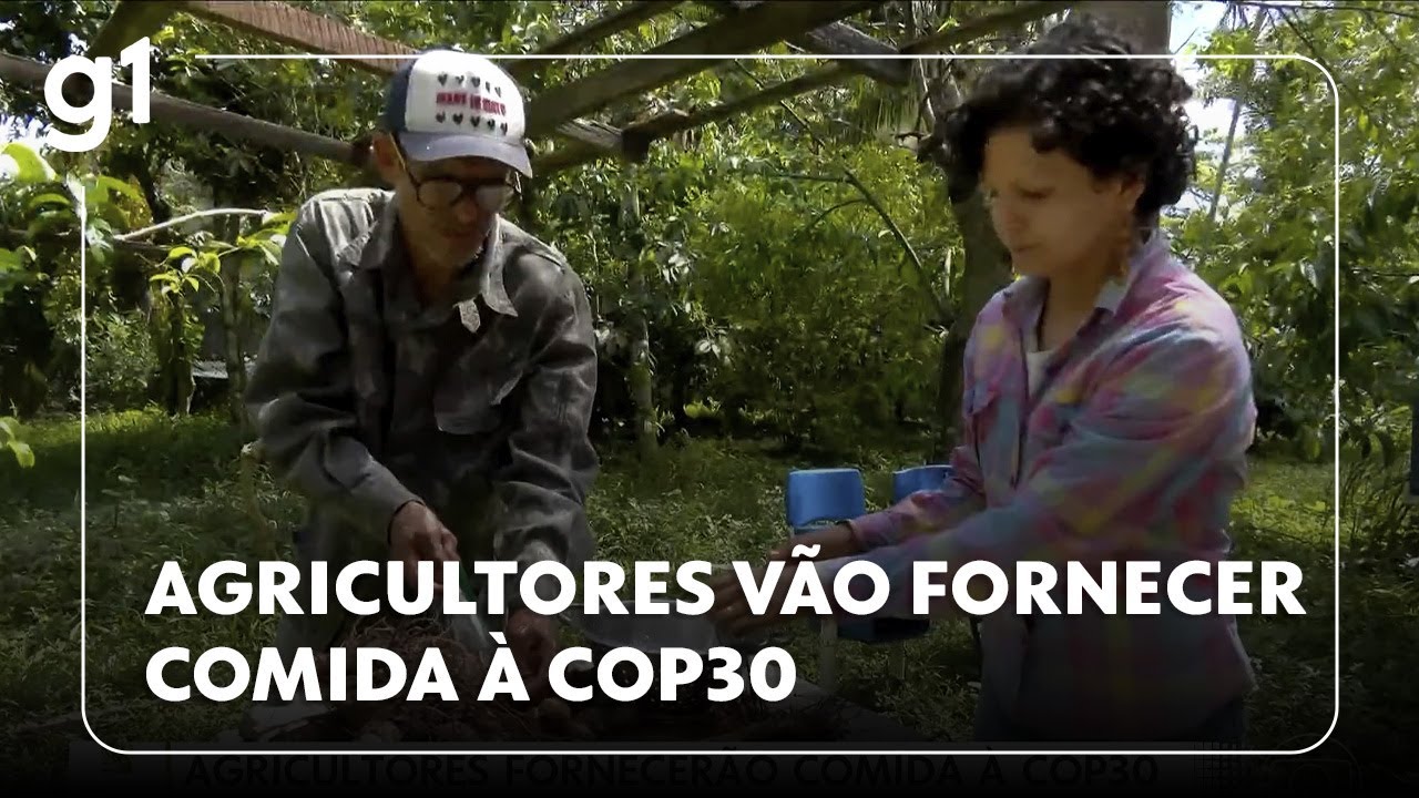 Jornal Hoje pequenos agricultores do Pará vão fornecer alimentos para os participantes da COP30  TV Online Jornal Hoje pequenos agricultores do Pará vão fornecer alimentos para os participantes da COP30