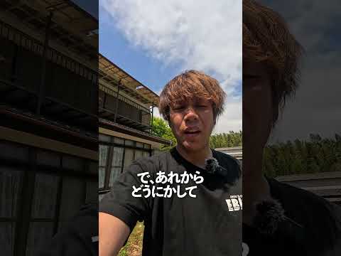 アリの巣を作られたアルテッツァ　#shorts