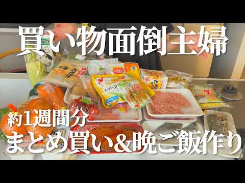 【まとめ買い】約1週間分の買い物をして晩ご飯作りした日【買い物面倒主婦】