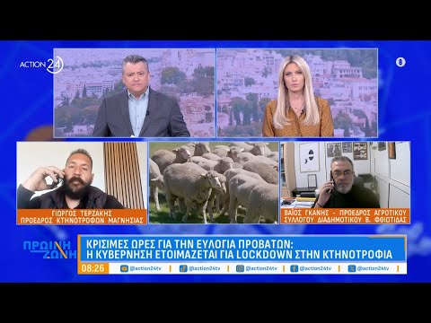 Κρίσιμες ώρες για την ευλογιά αιγοπροβάτων: Πόσο πιθανό είναι το lockdown - Τι ζητούν οι κτηνοτρόφοι Κρίσιμες ώρες για την ευλογιά αιγοπροβάτων: Πόσο πιθανό είναι το lockdown - Τι ζητούν οι κτηνοτρόφοι