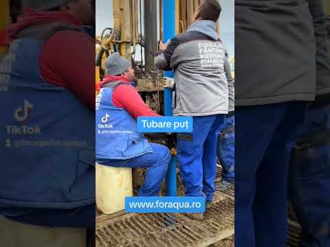 #forajeapa #foraqua #forajeputuri #forajebihor