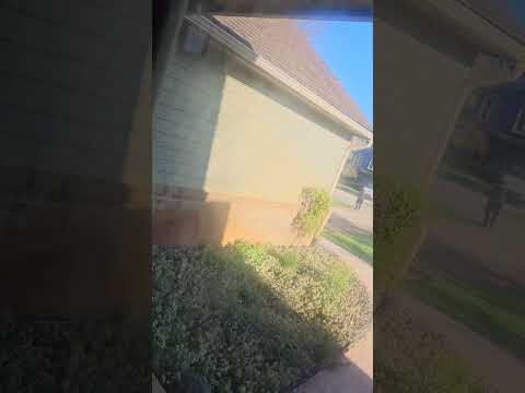 Racoon went to jail.