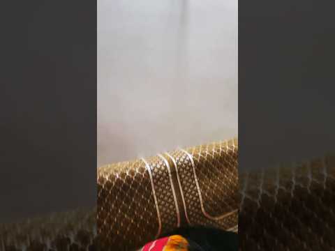 Live highlight #live #chat #funny #ytshorts #youtubeshorts