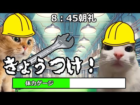 【猫ミーム】工場勤務ルーティン！！＆報告