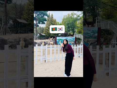 🇧🇩🇰🇷 Alpaca #shorts