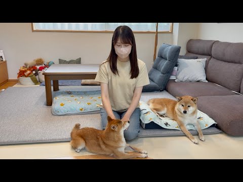 いつも見てくださっている皆さんへ、福のことでご報告があります。