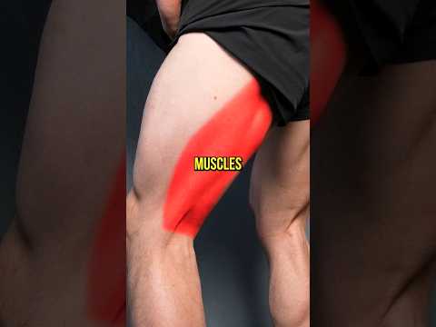 Bulletproof Your Hamstrings