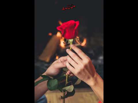 Whispers of Love: Romantic Poetry