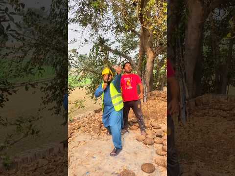 Birds ko Kesy bachaya 😳🦜 #shorts #viralshorts