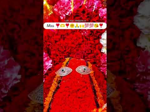 #Jay Mata Di 🙏🏻🙏🏻🙏🏻🙏🏻🙏🏻🙏🏻🙏🏻🙏🏻🙏🏻🙏🏻🙏🏻🙏🏻🙏🏻