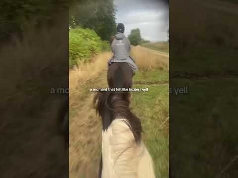 Hacking is so calming on him #horse #equestrianjourney #equestrian #horsefan