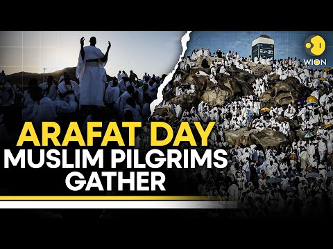 Hajj 2025 LIVE: Muslim Pilgrims Start Settling in Arafat Near Mecca | Arafat Day | Eid-ul-Adha 2025