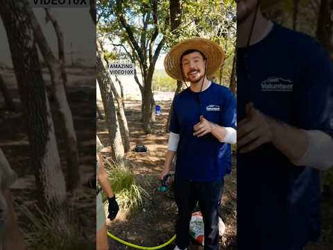 l Saved 1,000 Animals From Dying#daily #animals #saveanimals #shortvideo #nature #reality