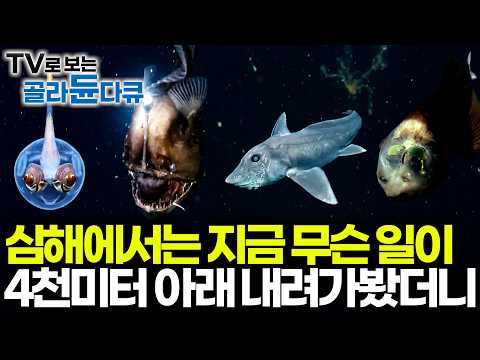 인간이 아직도 정복하지 못한 현재 심해에서 일어나고 있는 일｜또 하나의 우주 심해의 모든 것｜과학다큐 비욘드｜#골라듄다큐
