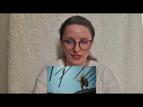 StoryBoard 1 de la vidéo ENHYPEN  'Outside' MV REACTION