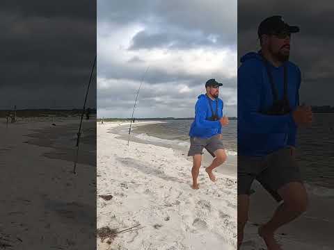 Non-stop beach fishing action! video thumbnail