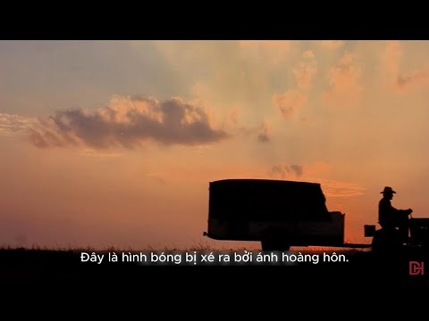 Một câu chuyện có thật được chuyển thể từ năm 1999 -Câu chuyện của ông Straight (The Straight Story)