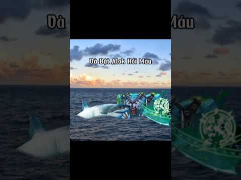 kiến thức bổ ích🤯#ehw #memes #epicheroeswarnew