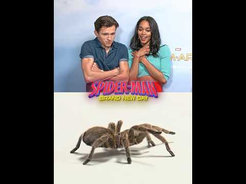 Tom Holland Is Afraid of Spiders 😂🕷️ #spiderman #tomholland #shorts