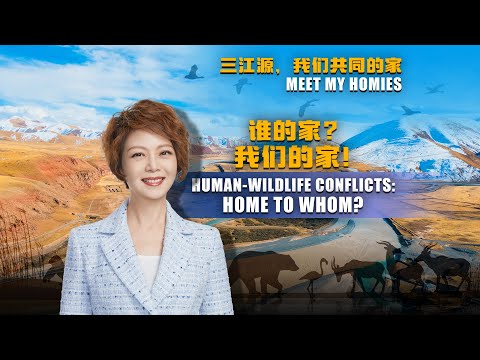 Human-wildlife conflicts: Home to whom?