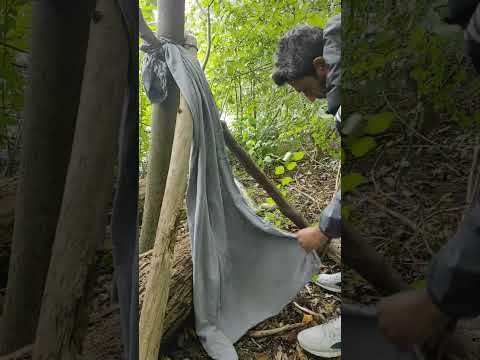 Camping Tips 💯#outdoors #camping #camper #survival #shorts