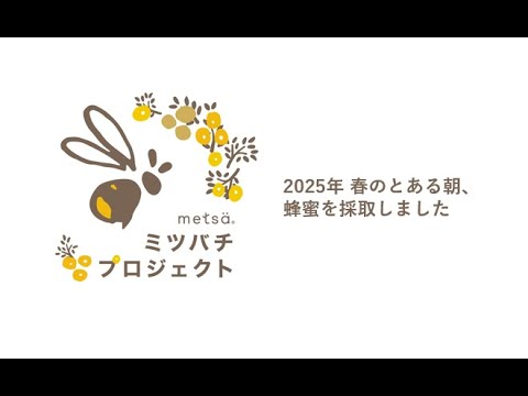 【metsä VLOG】2025春の搾蜜(メッツァビレッジ・ミツバチプロジェクト)